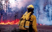 В Архангельской области летом обещают большое количество лесных пожаров