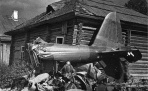 Беспримерный подвиг Прасковьи Ивановны Щеголевой, спасшей советского лётчика